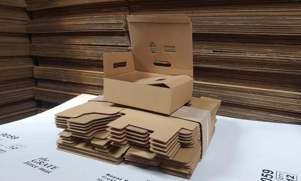 hộp carton 3 lớp giá rẻ - hinh 04