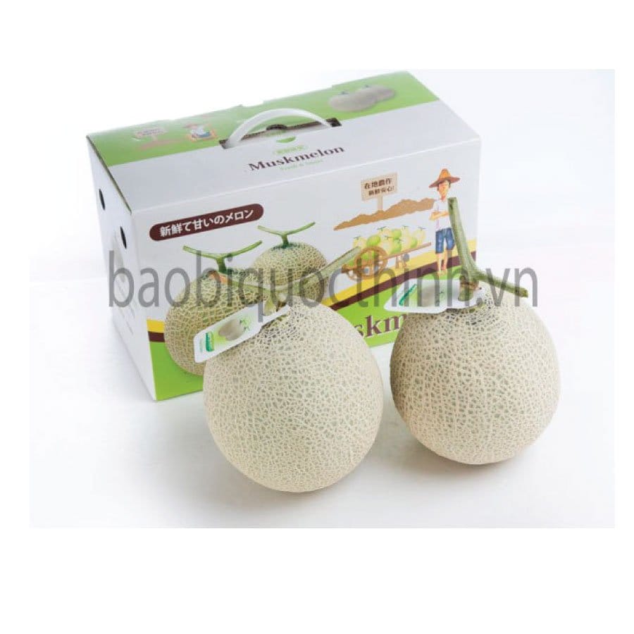 Hộp dưa lưới có gắn quai xách nhựa