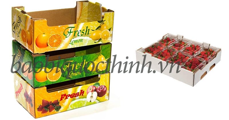Các mẫu khay carton đựng táo tại Bao Bì Quốc Thịnh
