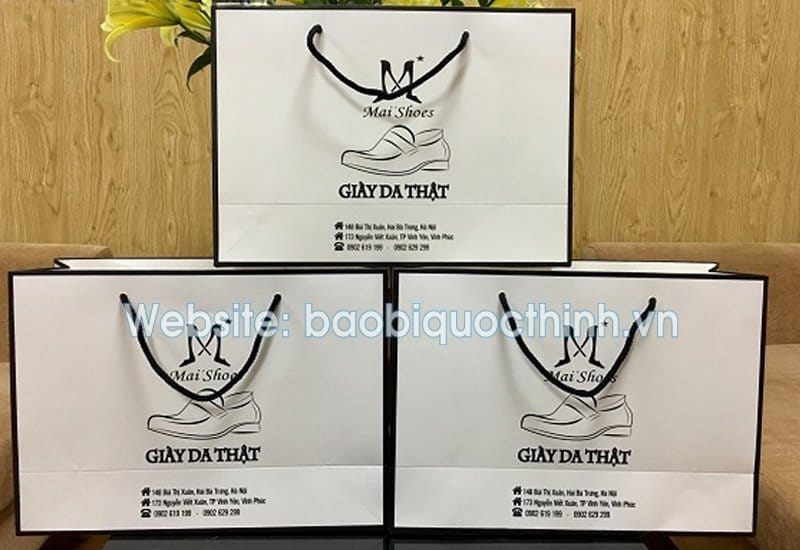 Mẫu túi giấy đẹp chất lượng tại Bao Bì Quốc Thịnh