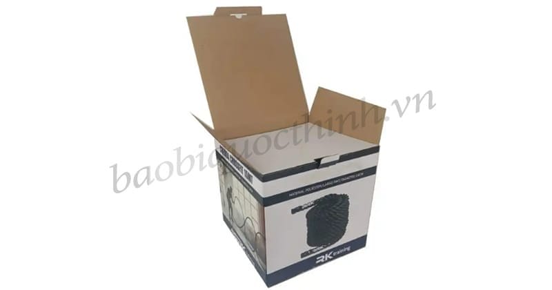 Mẫu thùng carton in Offset nắp đậy Bao Bì Quốc Thịnh